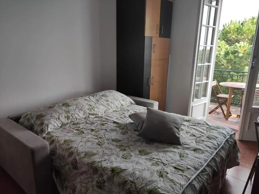 In Casa Di Dodo Apartment Ospedaletti